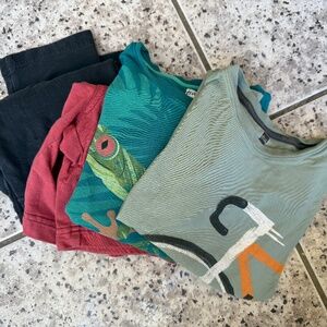 Tea Collection Bundle - Size 7